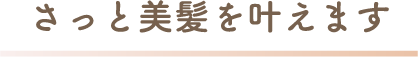 さっと美髪を叶えます