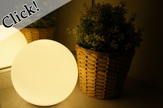 PLAY BULB