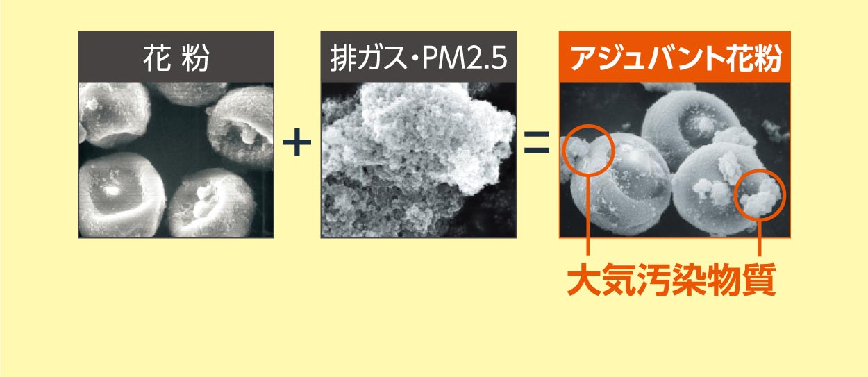 空気中に侵入した花粉はとっても強力