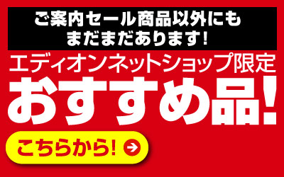 おすすめ品