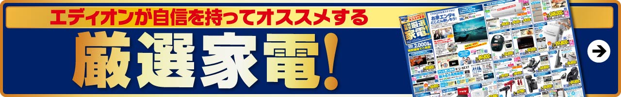 厳選家電