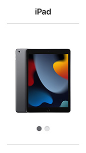 iPad