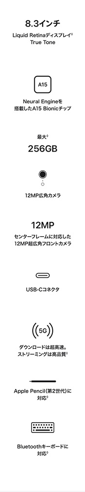 iPad mini