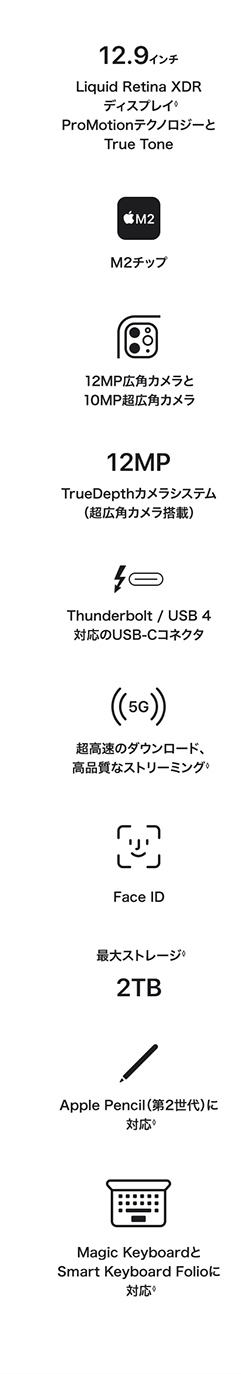 iPad Pro 12.9インチ