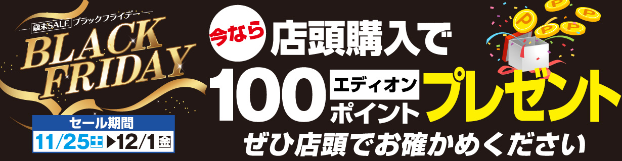 今なら店頭購入で100エディオンポイントプレゼント
