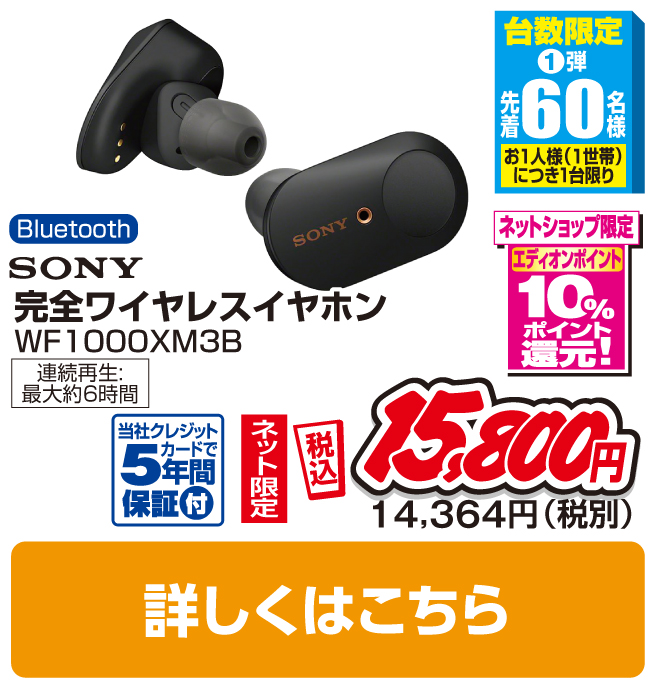 SONY 完全ワイヤレスイヤホン