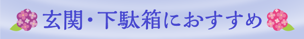 玄関・下駄箱におすすめ