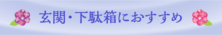 玄関・下駄箱におすすめ
