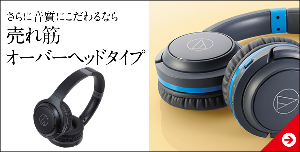 売れ筋オーバーヘッドタイプ
