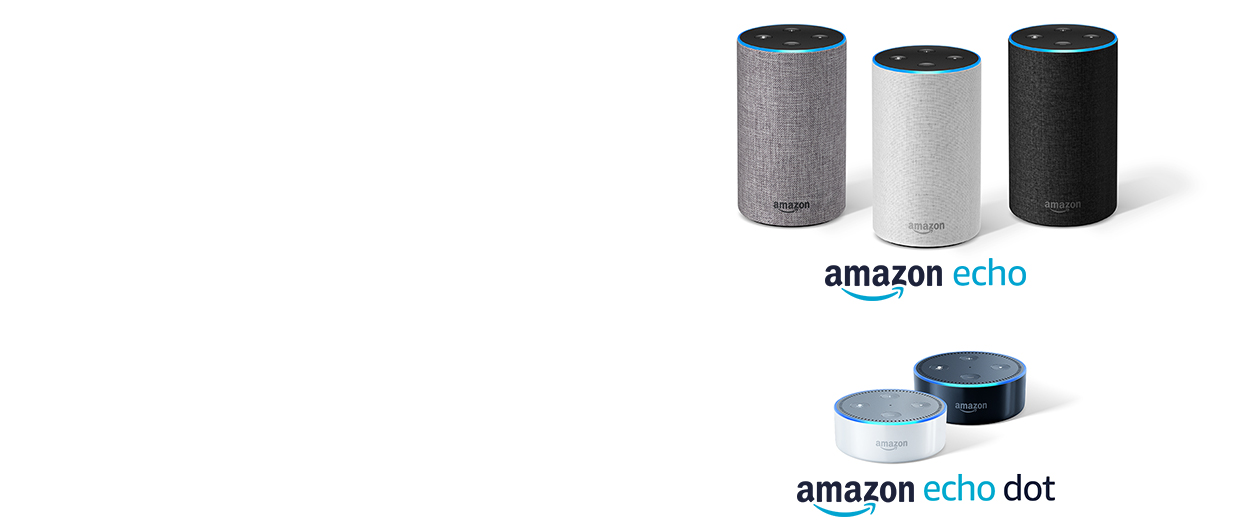 echo、echo dotって何?