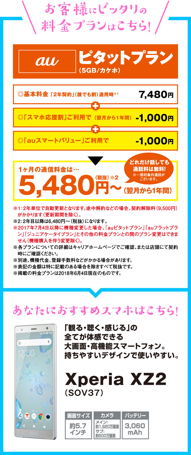 au ピタットプラン