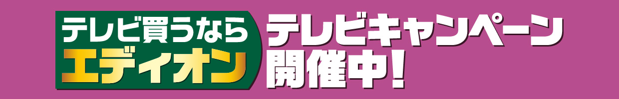 テレビキャンペーン　おすすめ品！