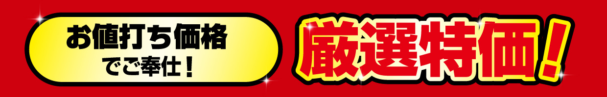 厳選特価！