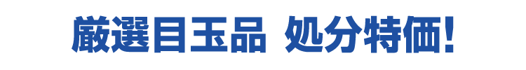厳選目玉品 処分特価!