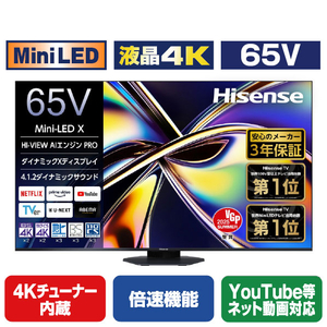U9Rシリーズ 量子Dot 液晶4K 65V 4Kチューナー内蔵 倍速機能 YouTube等ネット動画対応