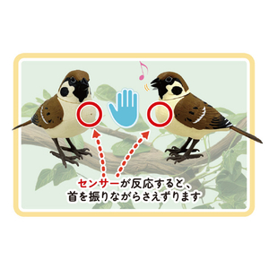 TKSK TK-170 日本の野鳥 スズメ TK170ﾆﾎﾝﾉﾔﾁﾖｳｽｽﾞﾒ-イメージ3