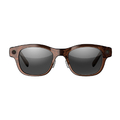 HTC VIVE Eagle Sun lens - M Coffee 9HAUS023