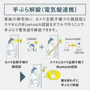 パナソニック ワイヤレスモニター付テレビドアホン VL-X70AHS-イメージ9
