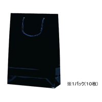 スーパーバッグ ラミネート紙手提袋 黒無地 S 10枚 F139456-1151S