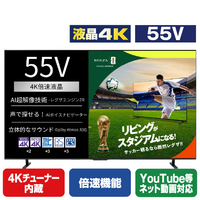 TVS REGZA 55V型4Kチューナー内蔵4K対応液晶テレビ REGZA 55E670R