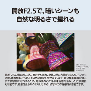 パナソニック デジタル一眼カメラ用交換レンズ デジタルカメラ_Sシリーズ交換レンズ シルバー S-S20-S-イメージ5