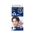 ダリヤ サロンドプロ 泡のヘアカラーEX メンズスピーディ 白髪用 5 FCE693M